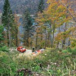 IMG_3119